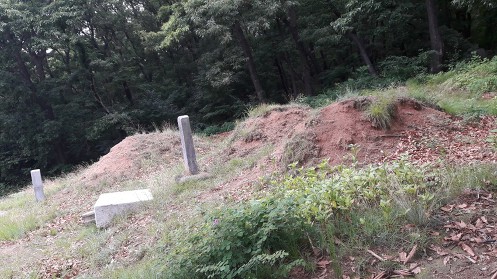 99C3AC3C5D0C4E0C2A9304