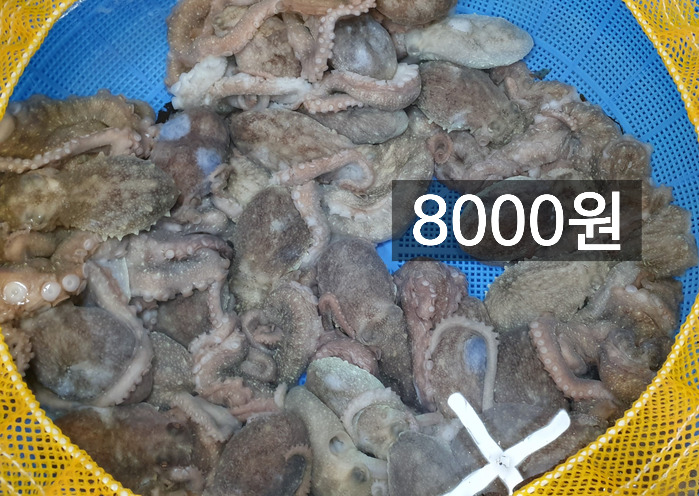 목포뻘낙지 이미지