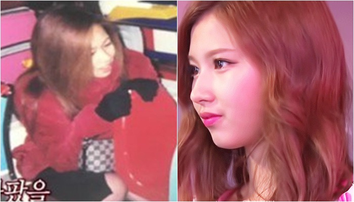 나는 이런거 보면 너무 신기하더라 유전자란 뭘까 싶고 | 인스티즈
