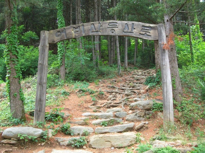 대일민박 이미지