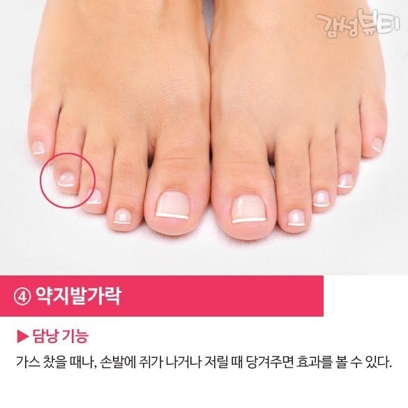 다섯발가락 이미지