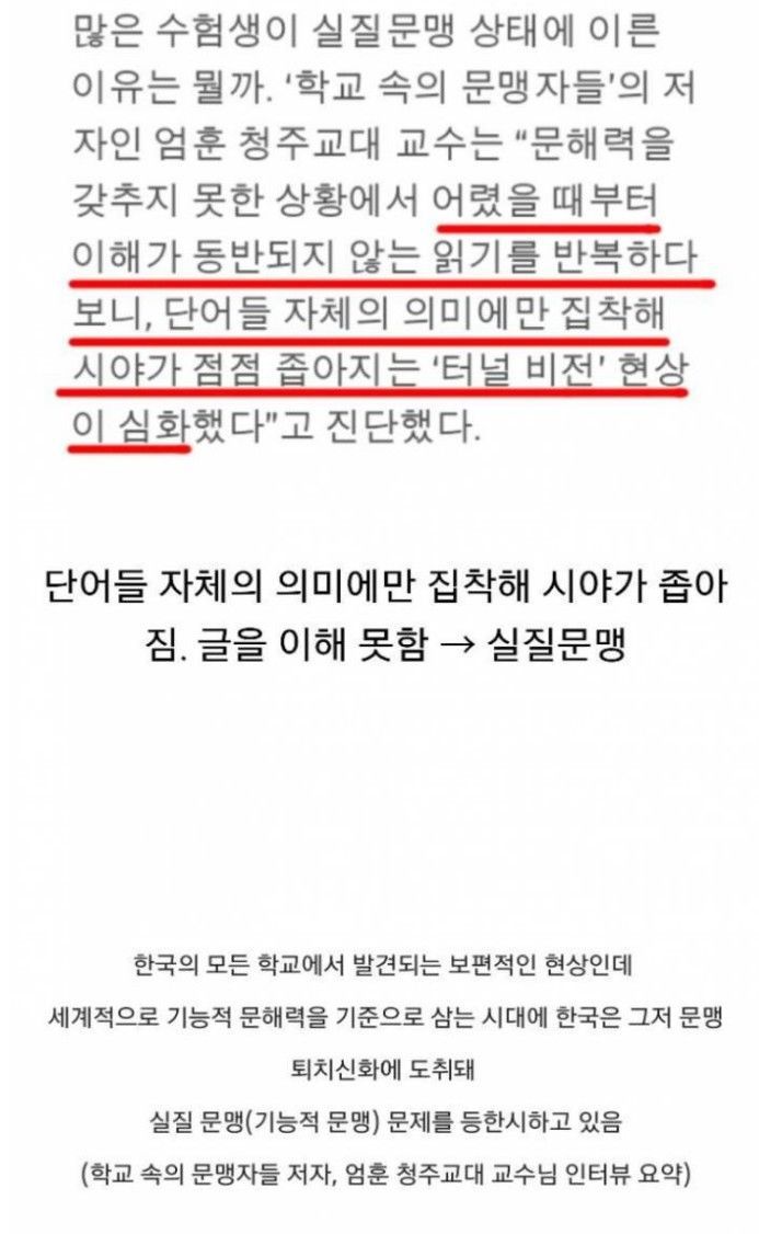 실질문맹이 많은 이유 | 인스티즈