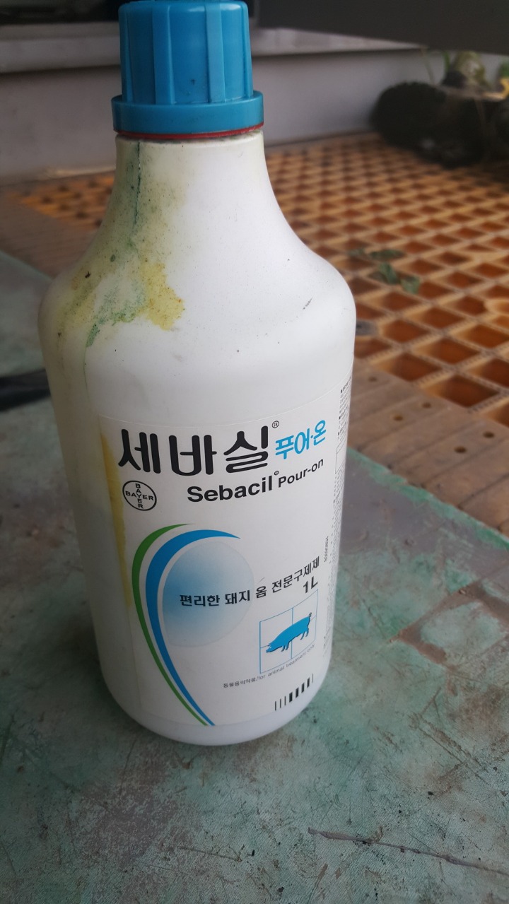 광천축산 이미지