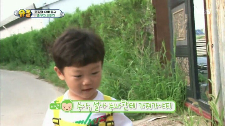 정말 타고난 것 같은 천사시안이 모음 | 인스티즈