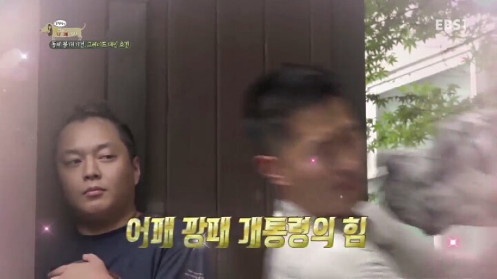 강형욱 훈련사에게 감탄한 세나개 제작진과 견주들.jpg | 인스티즈