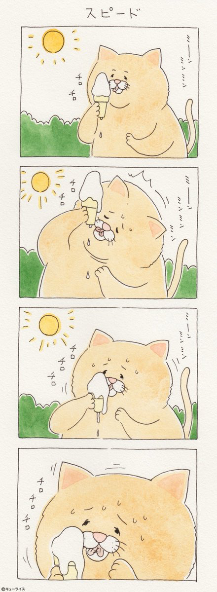 뭐든지 안 되는 고양이 시리즈.jpg | 인스티즈