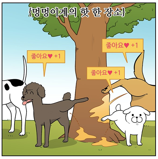 개들이 나무에 영역표시를 하는 이유.JPG | 인스티즈