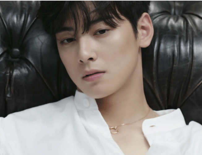 차은우 까르띠에 화보 움짤.gif | 인스티즈