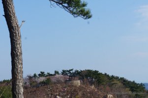 해파랑길 9코스 이미지