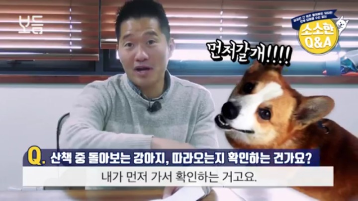 산책 중에 강아지가 뒤돌아보는 이유 | 인스티즈