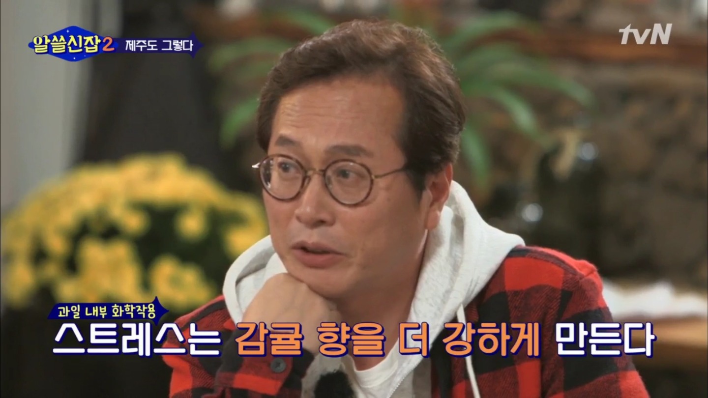 [알쓸신잡2] 조금 못나고 상처 입은 것들의 향이 좋을 수 있다 (교익쌤이 알려주는 귤 고르기 팁) | 인스티즈