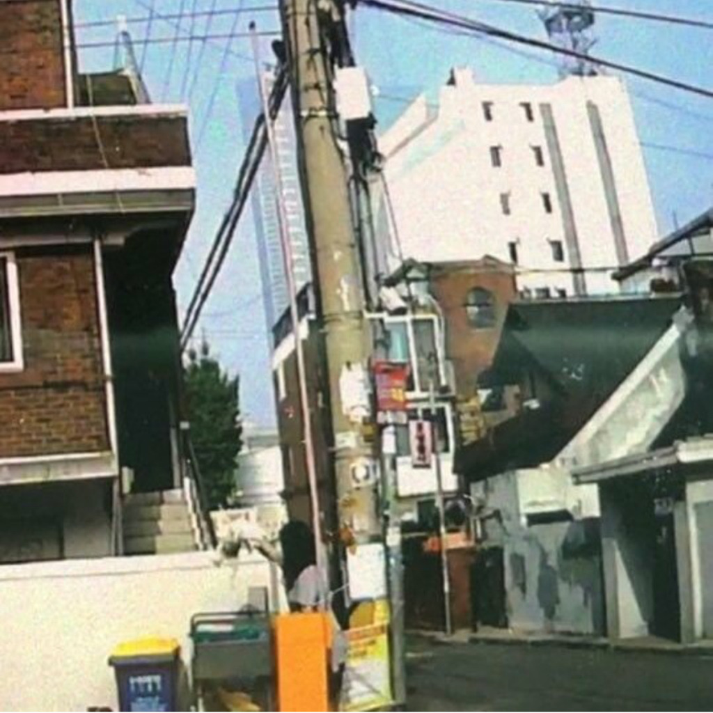 분리수거장에 강아지 유기하는 인면수심.jpg | 인스티즈