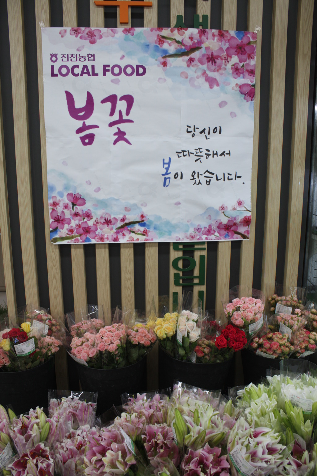진천농협하나로마트 이미지