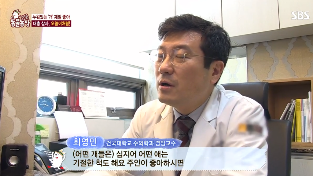 [동물농장] 누워있길 좋아하는 강아지 오쏠이 | 인스티즈
