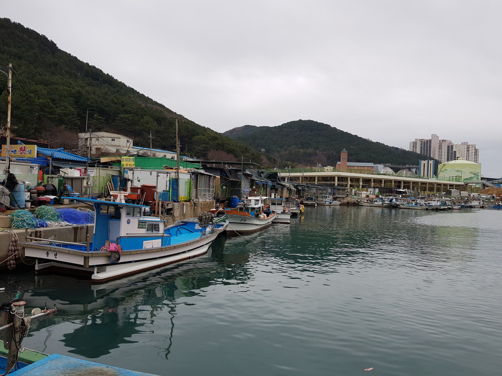 재풍호 이미지
