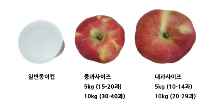 홍로 이미지