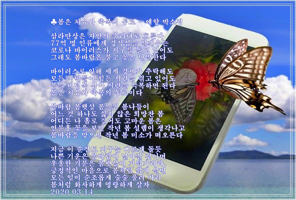 축복의통로 이미지
