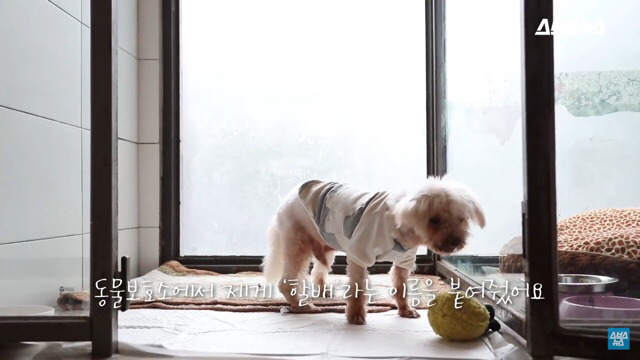  사람들이 홍대에서 인형을 뽑다 우는 이유는? | 인스티즈