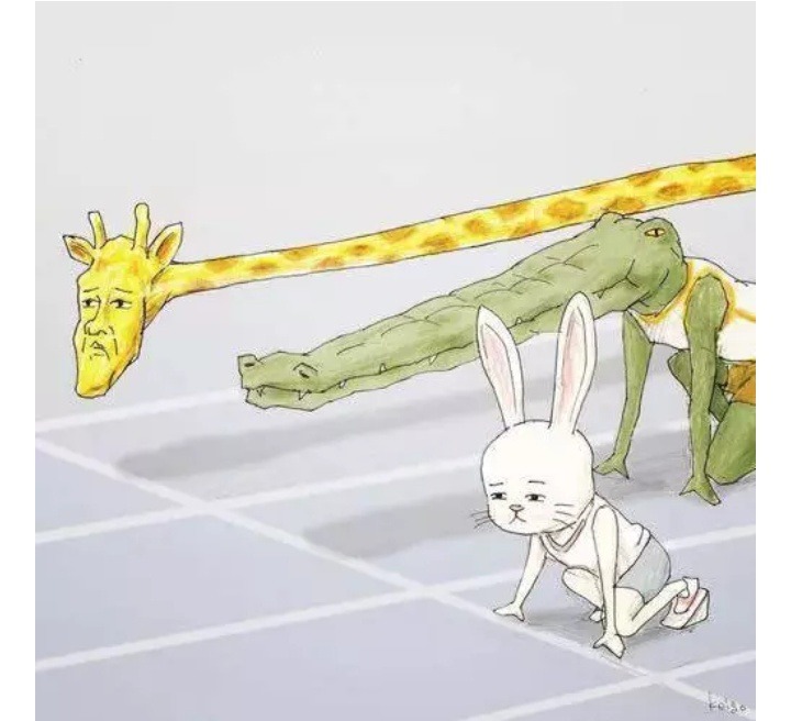 사람이면 불편한 동물.jpg | 인스티즈