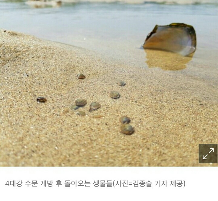 꼬마둥지 이미지